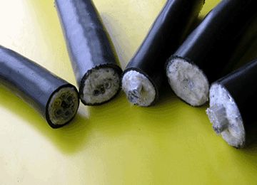 2025新澳门原料网站
