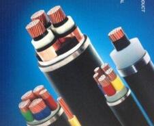 2025新澳门原料网站
