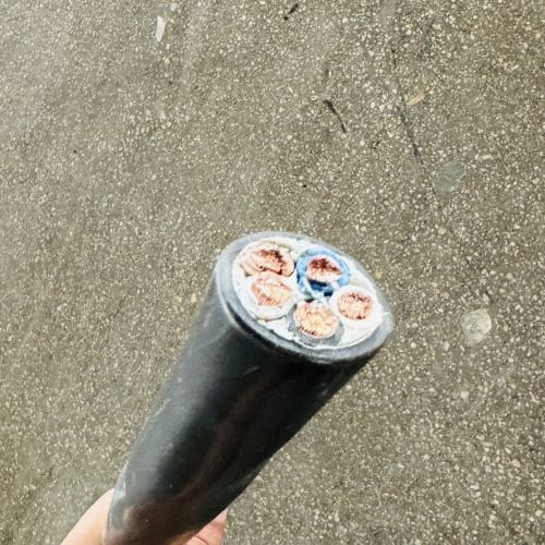 2025新澳门原料网站
