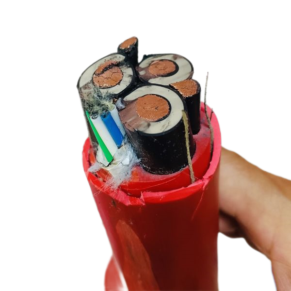 2025新澳门原料网站