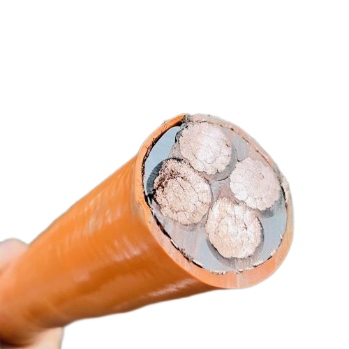 2025新澳门原料网站
