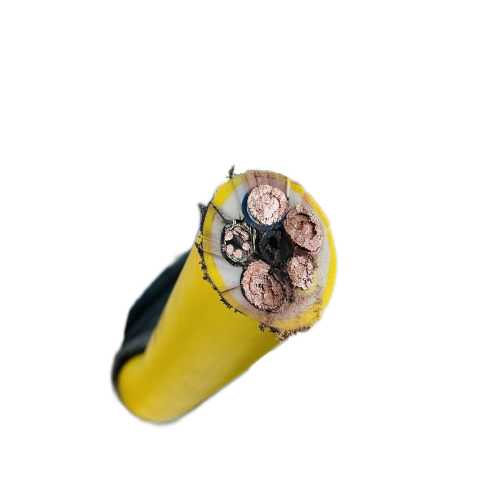 2025新澳门原料网站